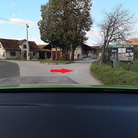 Guesthouse Braslovce - Celje Eksteriør bilde